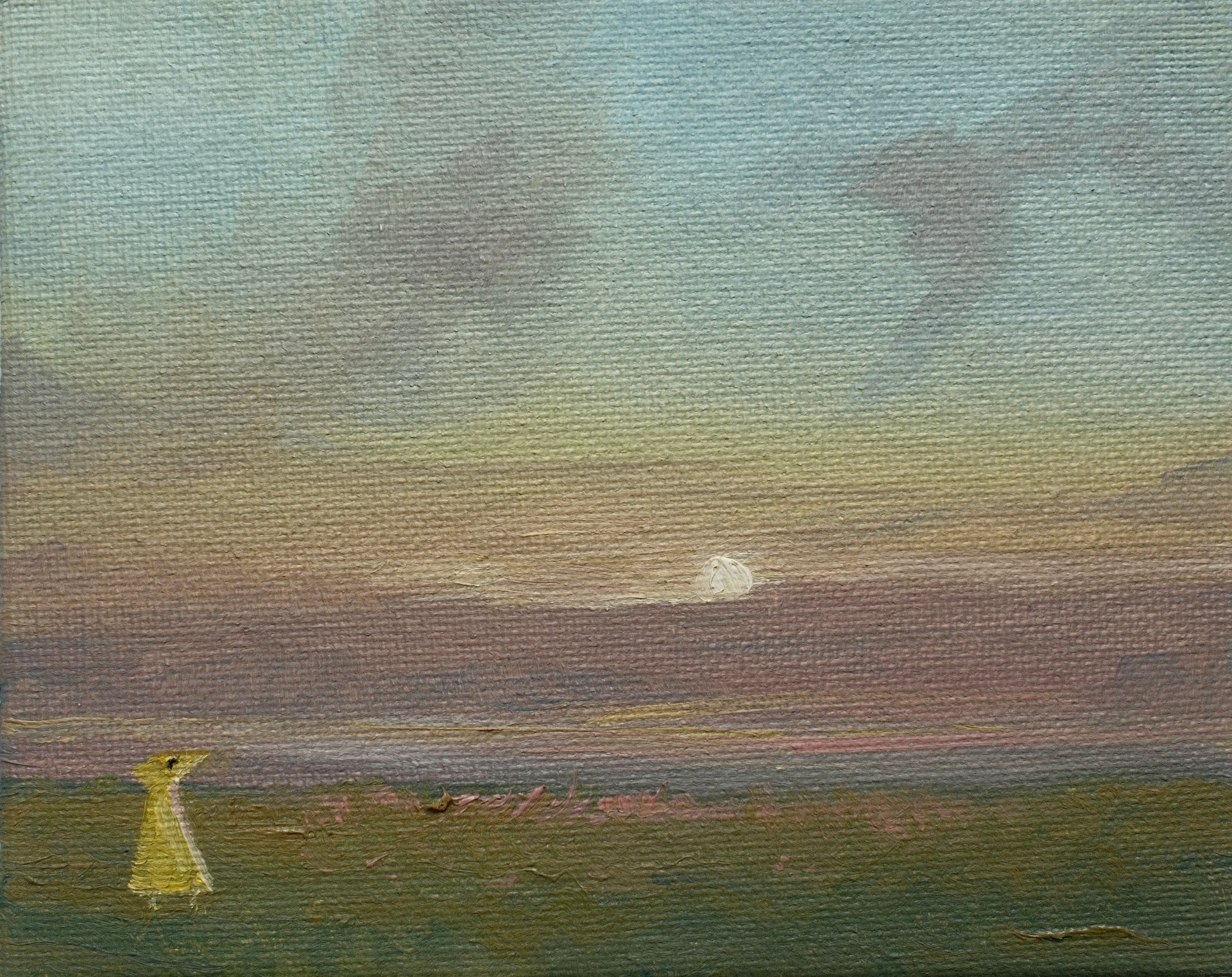 'sunrise'