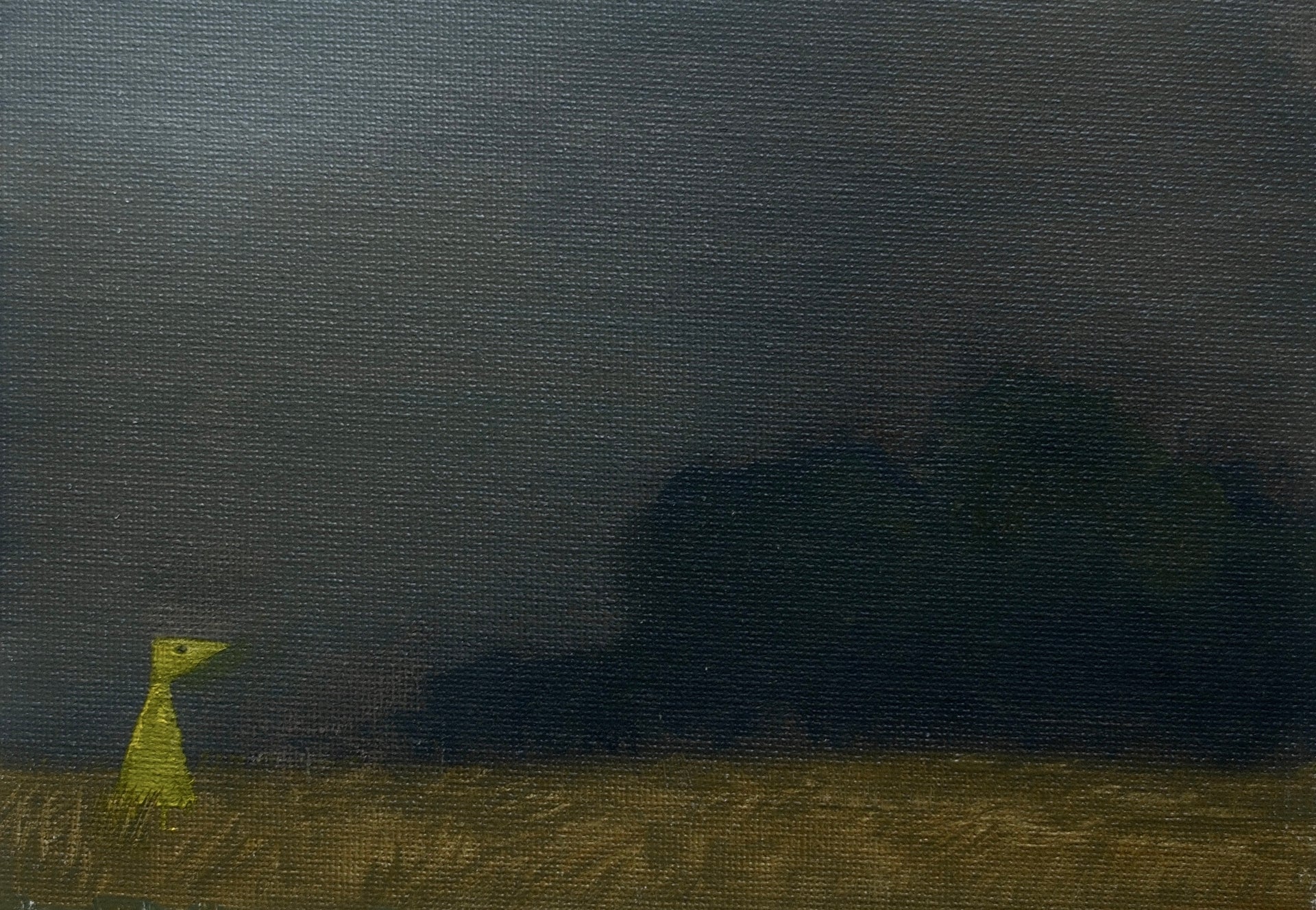 'fields'